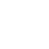 zoom icon
